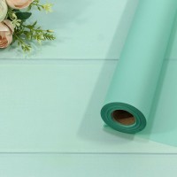 Плёнка 58см 800г матовая однотонная 55мкм Магическая мята 1/12 Арт: 1857/0921