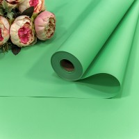 Плёнка 58см 800г матовая "Корейская" 65мкм Салатовый 1/12 Арт: 1838/2255