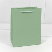 Пакет подарочный "Фактура" Бледно-зелёный 18*23*10 210г 1/20 1/360 Арт: 300480E/8