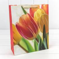 Пакет подарочный с блёстками "Тюльпаны" (микс 256) 26*32*10 210г 1/20 1/240 Арт: 000256C - Пакет подарочный с блёстками "Тюльпаны" (микс 256) 26*32*10 210г 1/20 1/240 Арт: 000256C