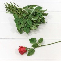 Стебель для розы с листьями 34см 1/50 1/3000 Арт: 420050/2