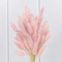 Сухоцветы "Лагурус" 60см (55±5 шт.) Розовый 1/250 Арт: 420062/3