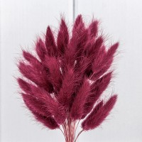 Сухоцветы "Лагурус" 60см (55±5 шт.) Бордовый 1/250 Арт: 420062/6