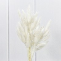 Сухоцветы "Лагурус" 60см (55±5 шт.) Белый 1/250 Арт: 420062/11